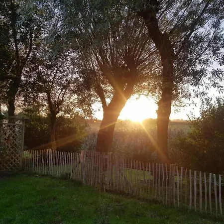 Pretty In Burgerburg